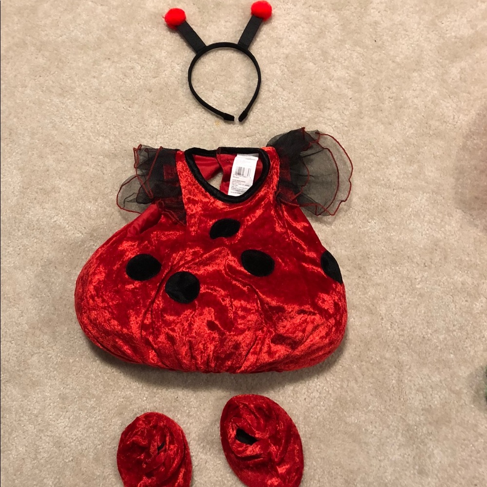 Lady bug Halloween costume